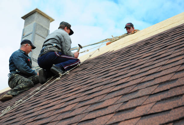 Best Gutter Installation and Roofing  in Arlington, TX